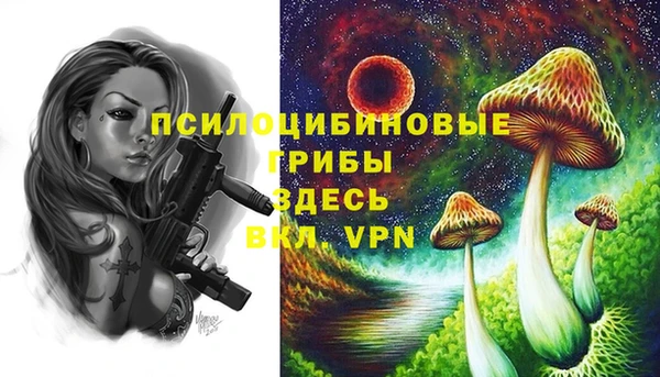 ECSTASY Алексеевка